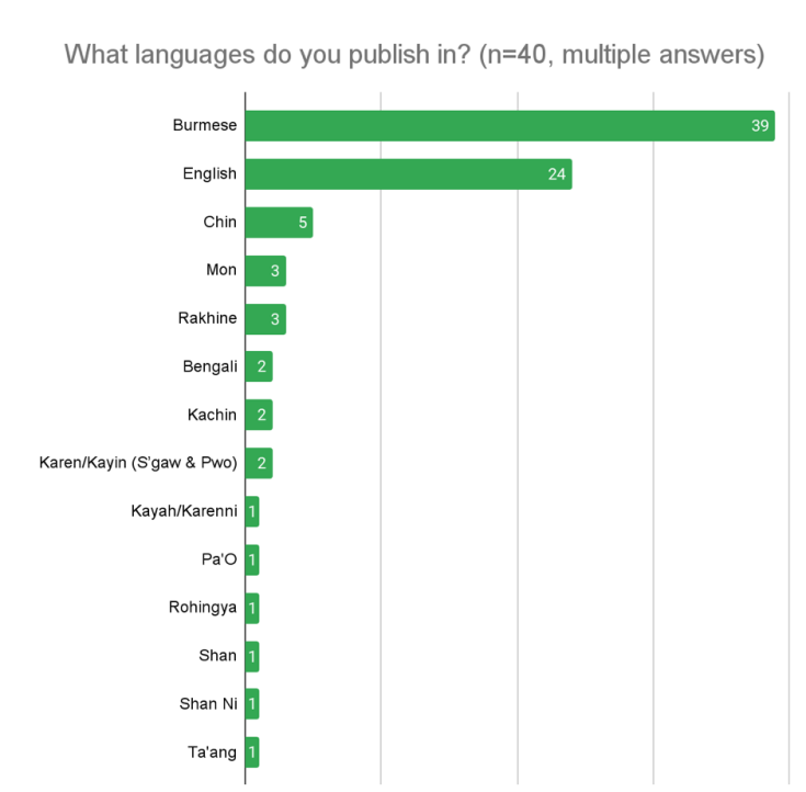 Visual representation of the question: What languages do you publish in? 